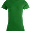 E3005_Kelly-Green